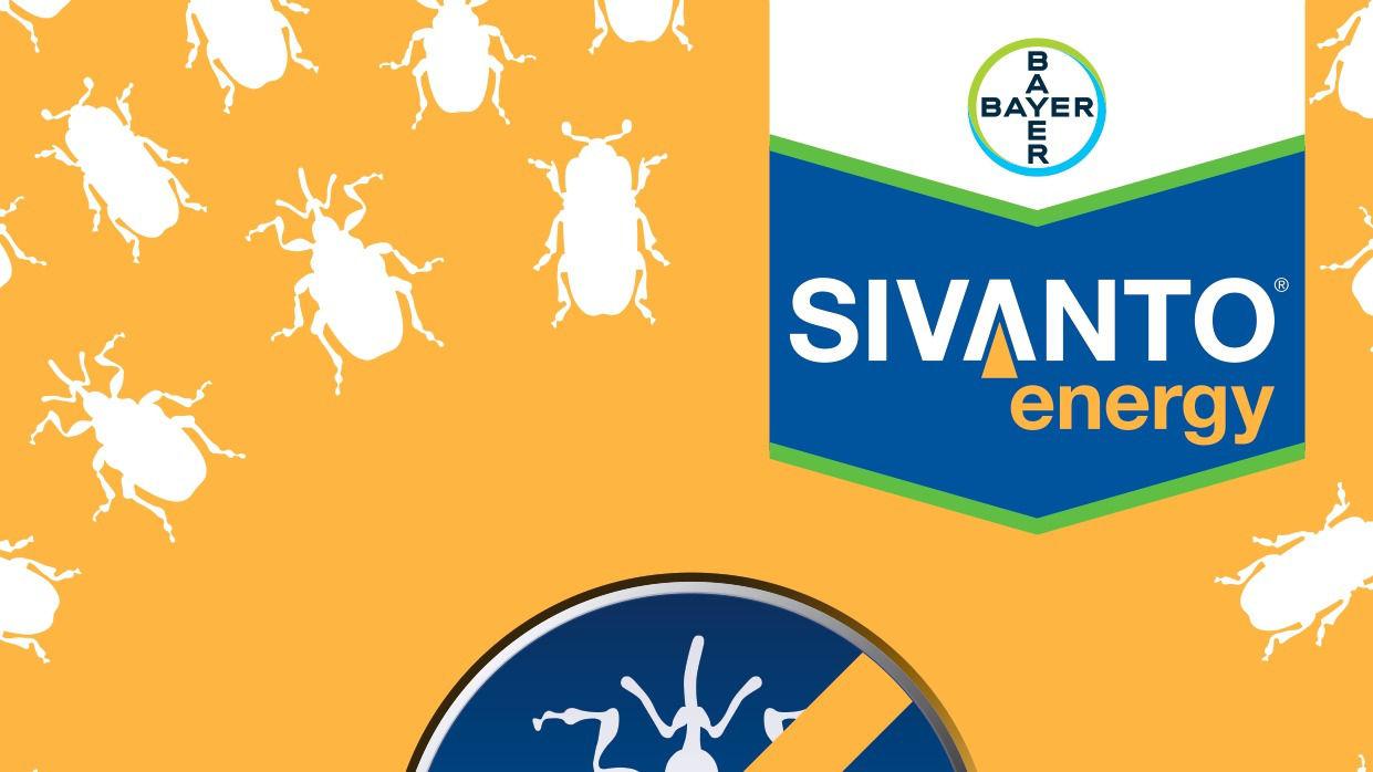 Sivanto® Energy