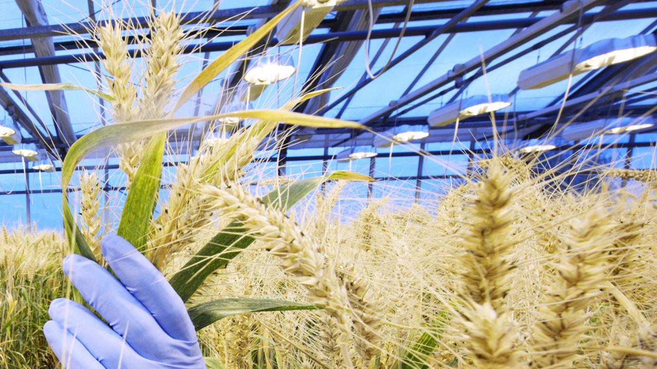 Klasifikace přípravků a ochranné vzdálenosti