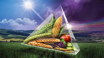 Přípravky na ochranu rostlin a osiva 2026