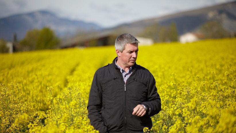 Pro zdravý porost řepky a vysoký výnos