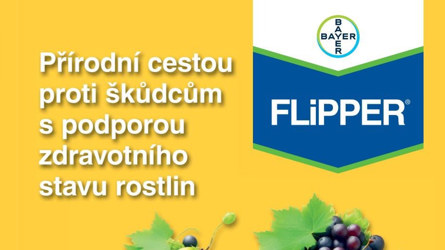 FLiPPER®