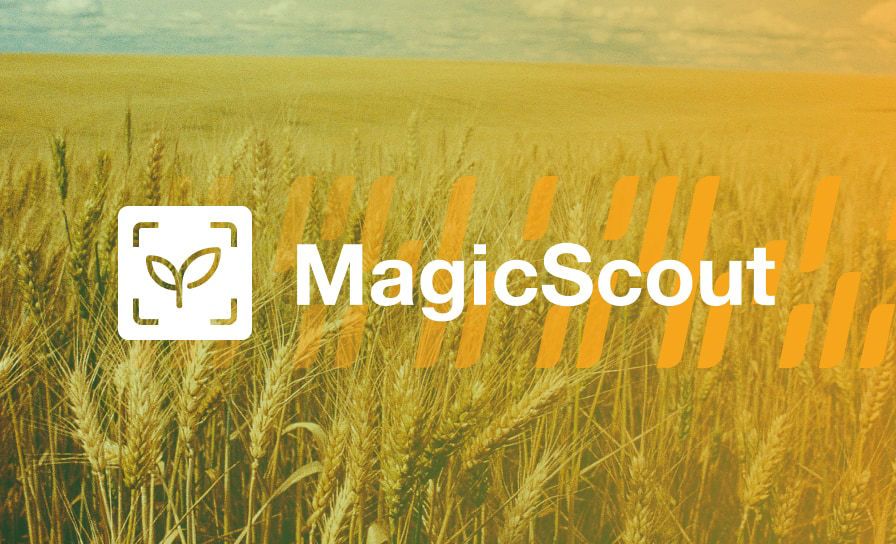 MagicScout