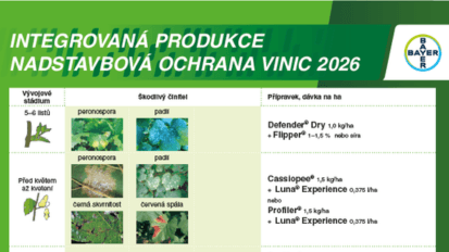 Ochrana vinic