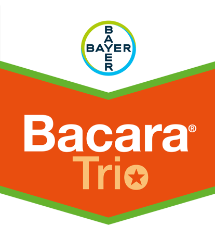 Bacara Brand Tag