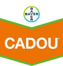 Cadou Brand Tag