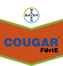 Cadou Brand Tag