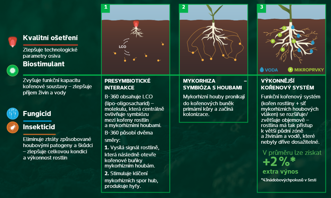 ACCELERON