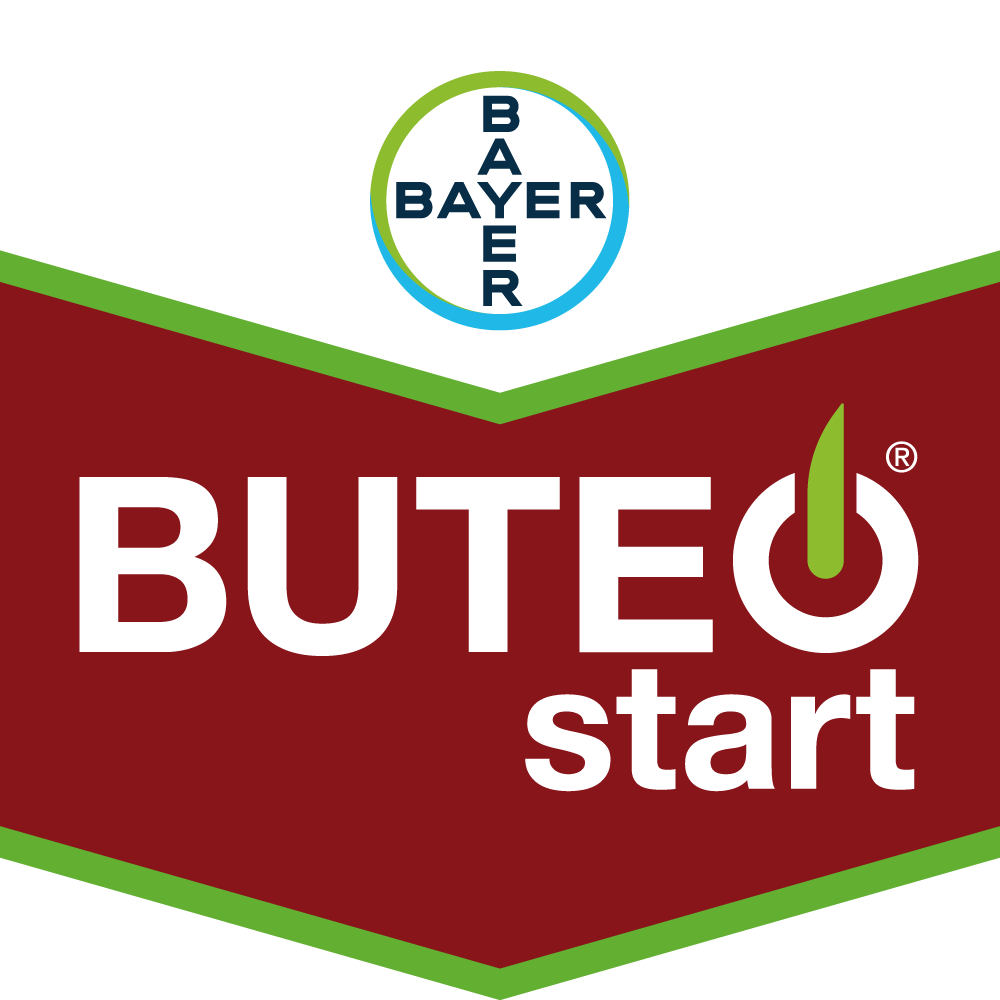 Buteo_start_BrandTag