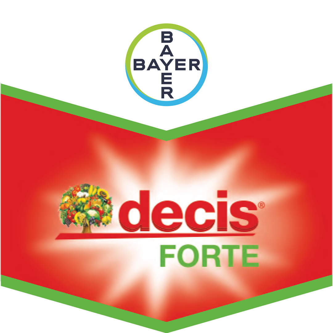 decis_forte_BrandTag
