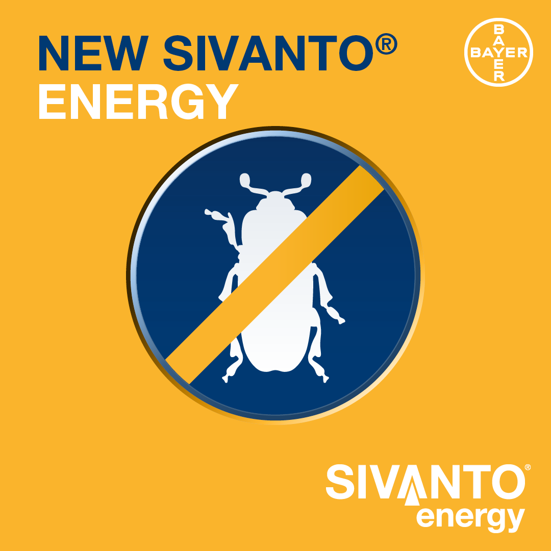 Prospekt Sivanto Energy