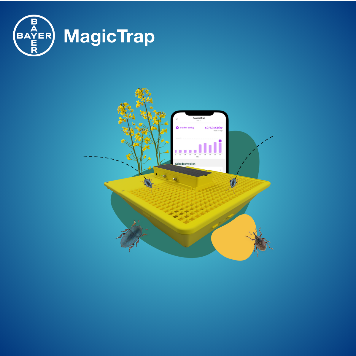 MagicTrap