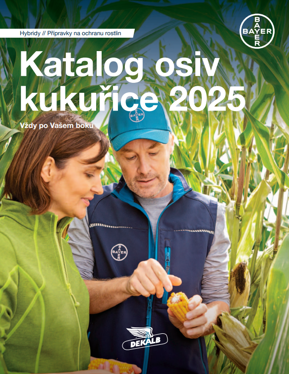katalog
