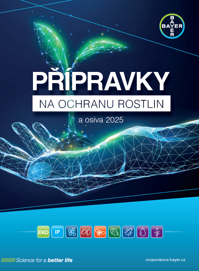 katalog